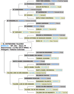 7 LOTE - GRANULADO EL ENTREVEIRO TALEIRO GENEALOGIA
