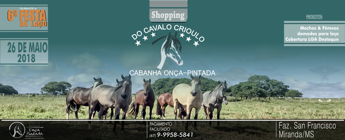 Cavalo Crioulo Onça-Pintada