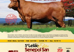 Destaque 1458 - Senepol SAN